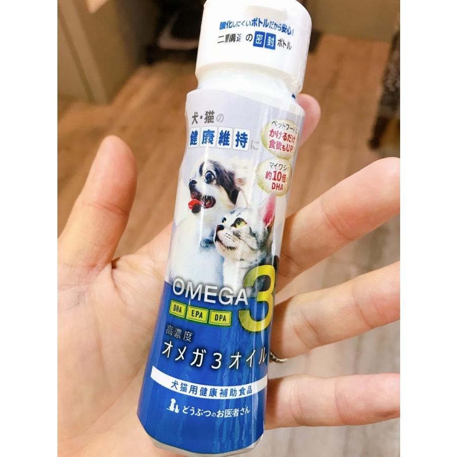 めっちゃすごいよ! クジラのオイル!