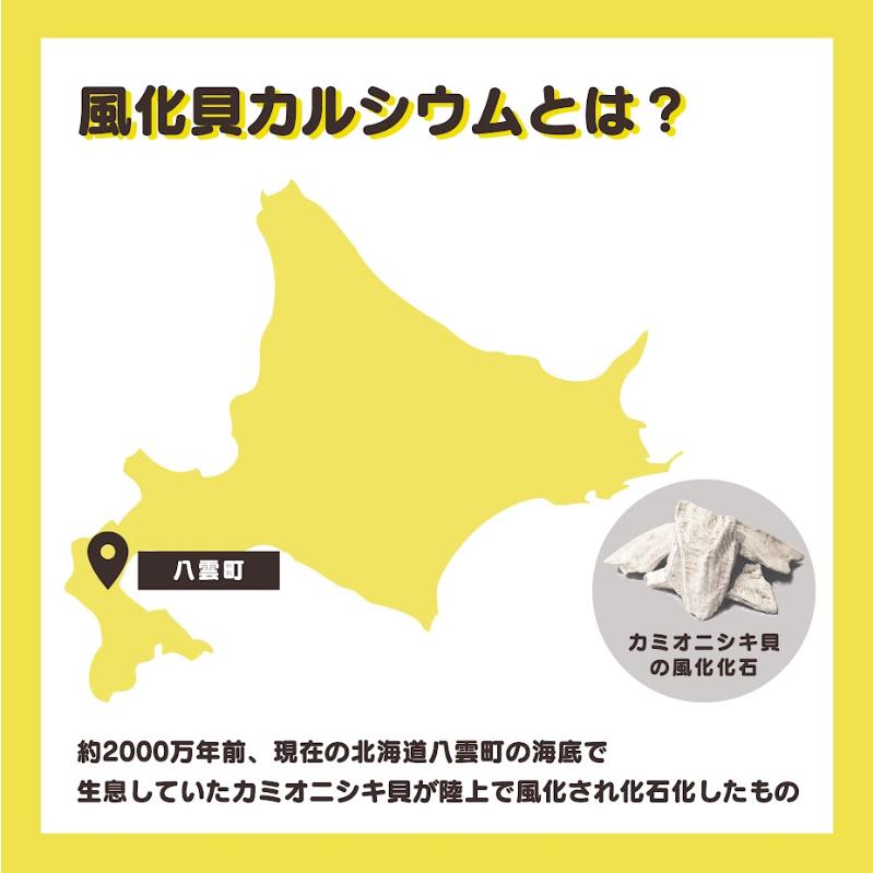 ''こんなの待ってたすごいやつ!風化貝カルシウム'' ファミリーパック1kg!