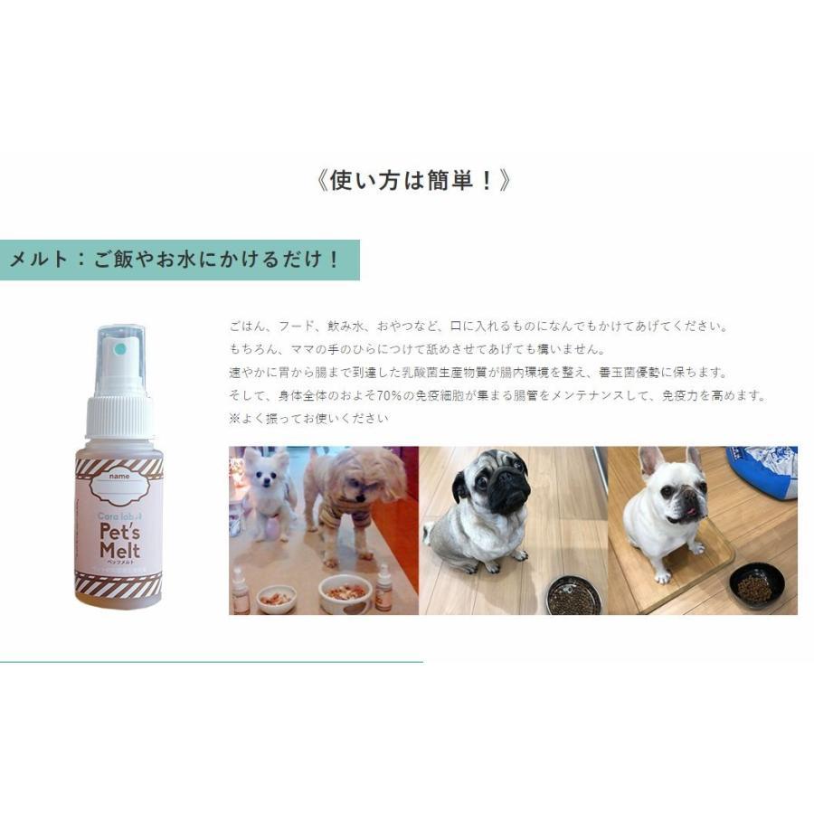 ペッツメルト スタンダードなスプレータイプ♪