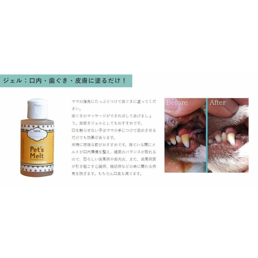 ペッツメルト ジェルタイプ