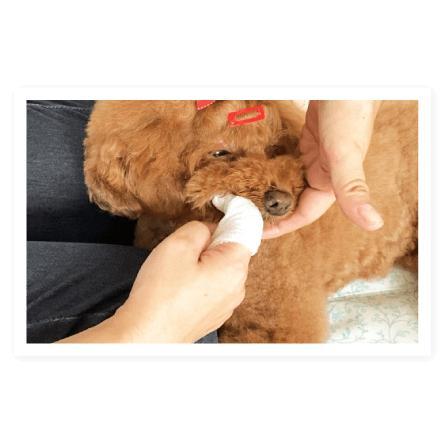 オーラバイオ オーガニックコットンシート  60枚入り!