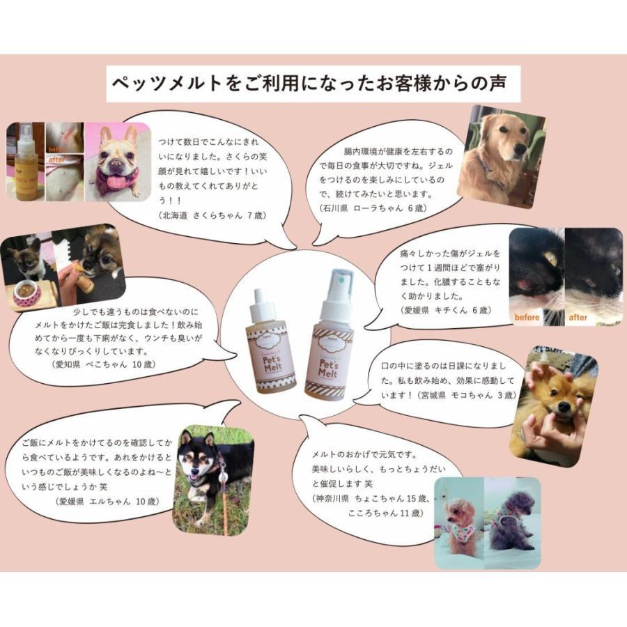 ペッツメルト スタンダードなスプレータイプ♪