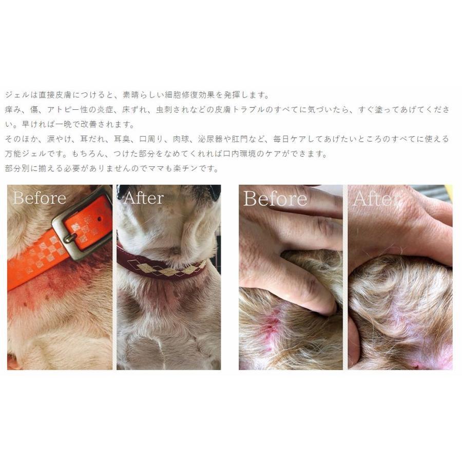 ペッツメルト ジェルタイプ