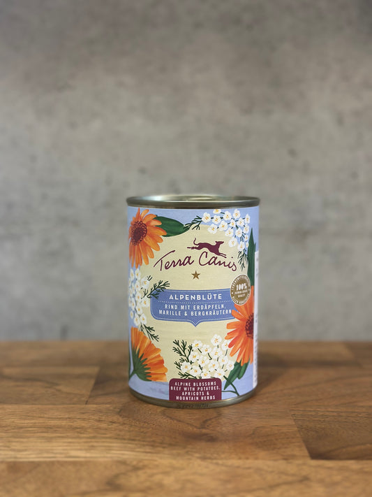 テラカニス アルプスフラワー