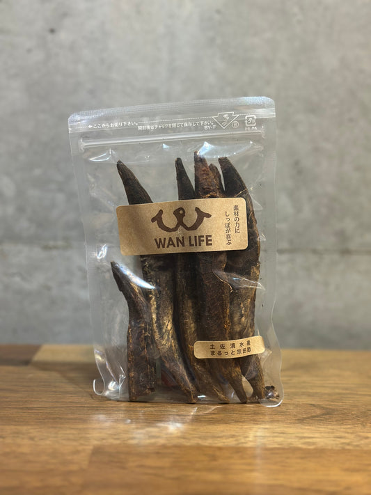 高知県から直送!まるっと宗田鰹!