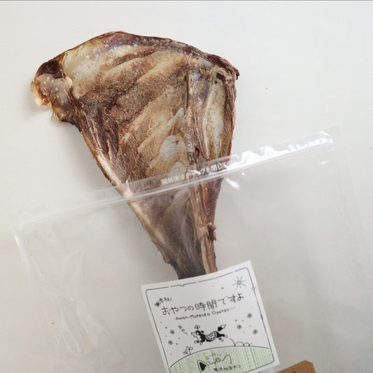 ”エーワン 鹿の肩甲骨