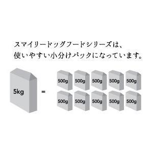 スマイリー まぐろdeli 5kg(500g×10) 乳酸菌配合 低GI 全年齢対応