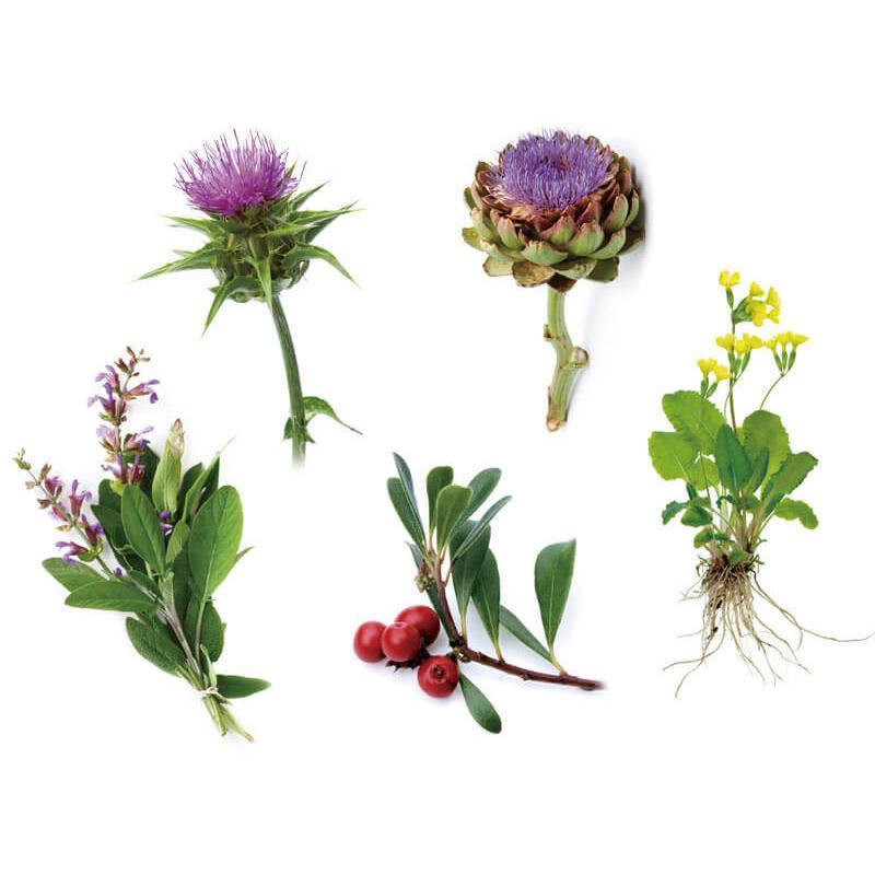 これが本物酵素! アニマストラス 顆粒20g