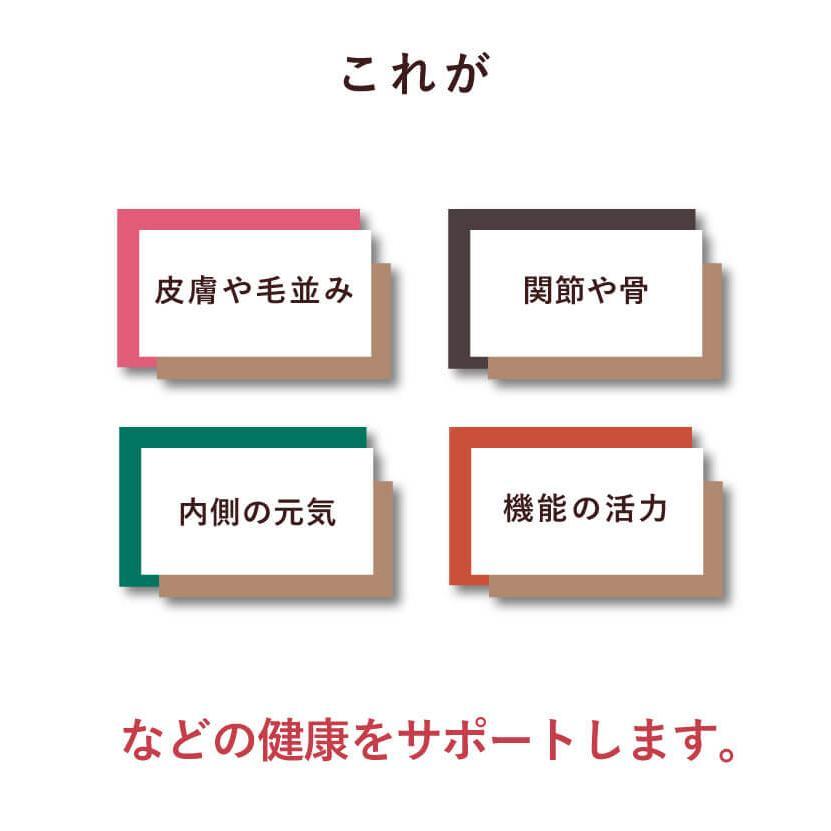 栄養満点チキンのボーンブロス!Belii 5本セット!