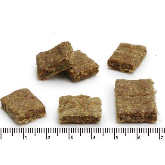 サンデーペッツジェントルベイク ラムウィズトライプ