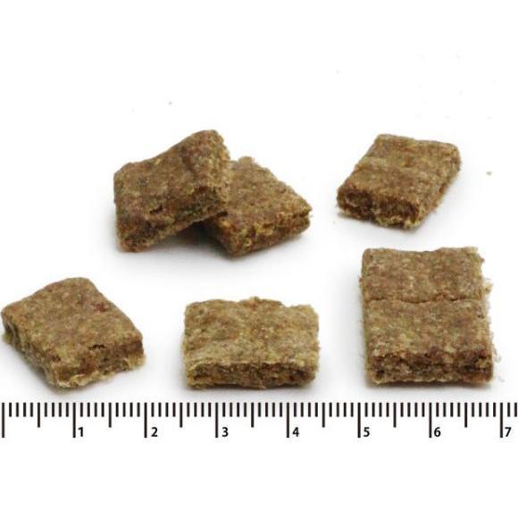 クッキーみたいで美味しい!サンデーペッツジェントルベイク サーモン 1.3kg