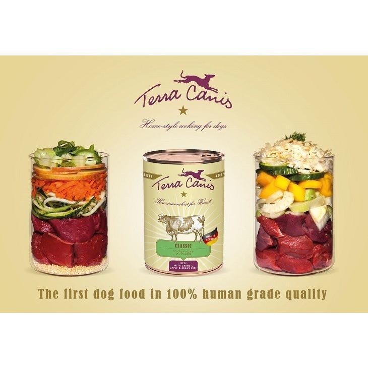 テラカニス クラシック ビーフ 玄米入り(400g)全犬用コンプリート