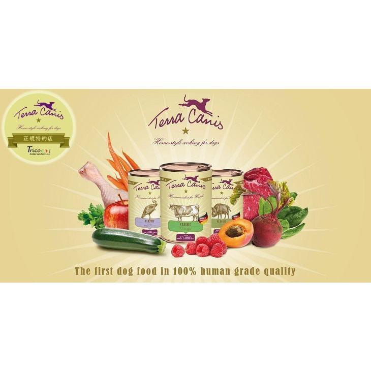 テラカニス クラシック ビーフ 玄米入り(400g)全犬用コンプリート