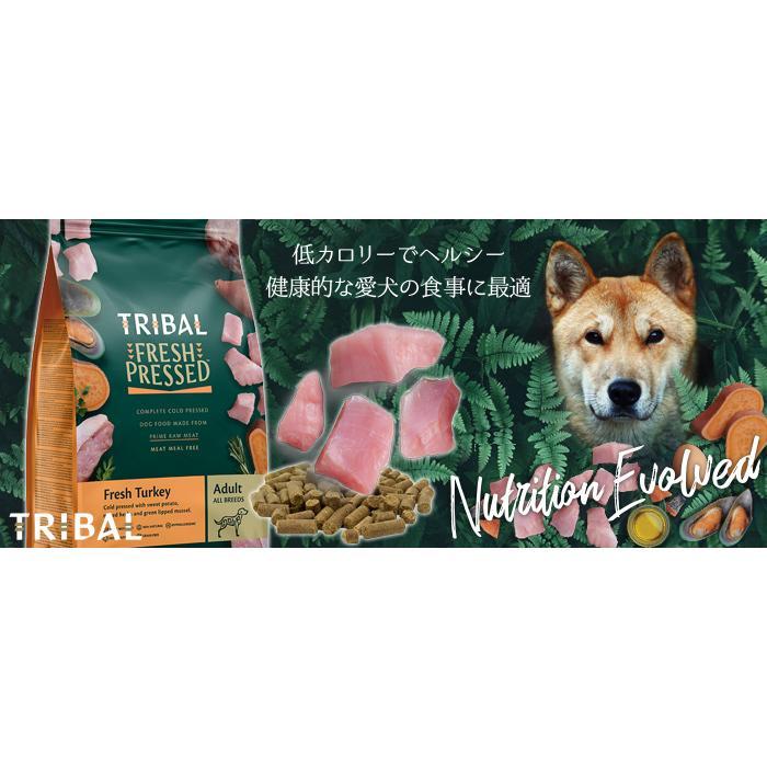 コールドプレス製法!トライバルフレッシュターキー400g