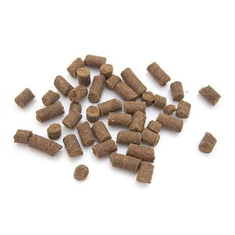 コールドプレス製法!非加熱!トライバルフレッシュサーモン400g