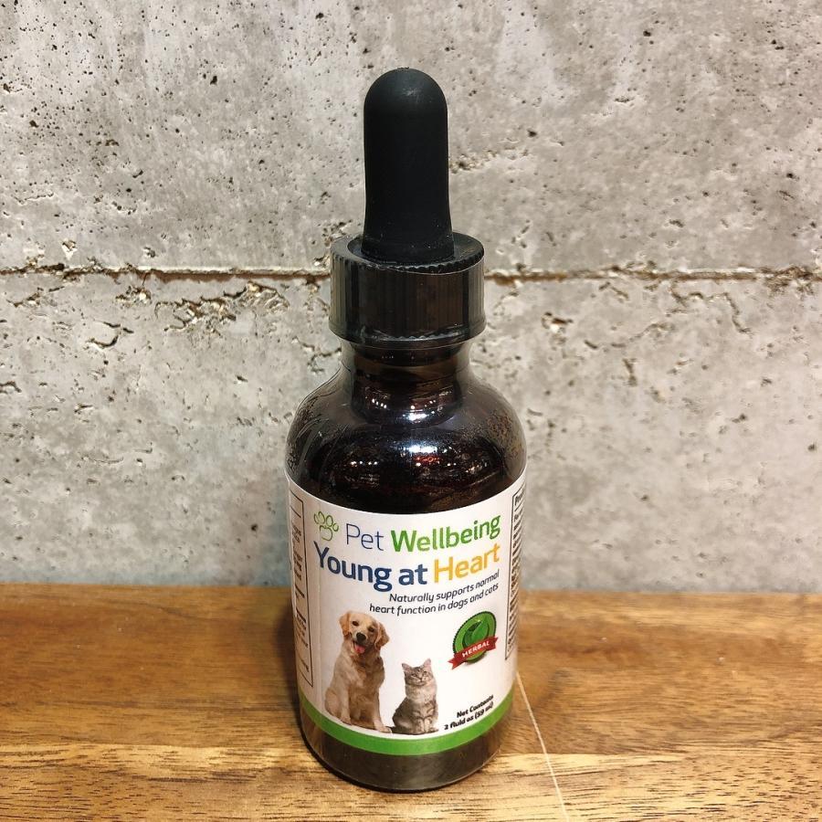 心臓病に!!Pet Wellbeing 「Young at Heart」