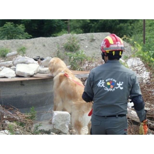 ★一般社団法人救犬ジャパンで頑張ってるワンコ達に応援物資を贈る