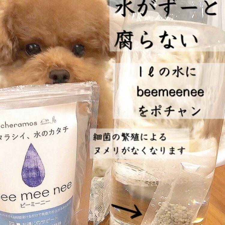 美味しい水の素！抗菌力と抗酸化力のある水を作れる触媒！ビーミーニー　Big for dog