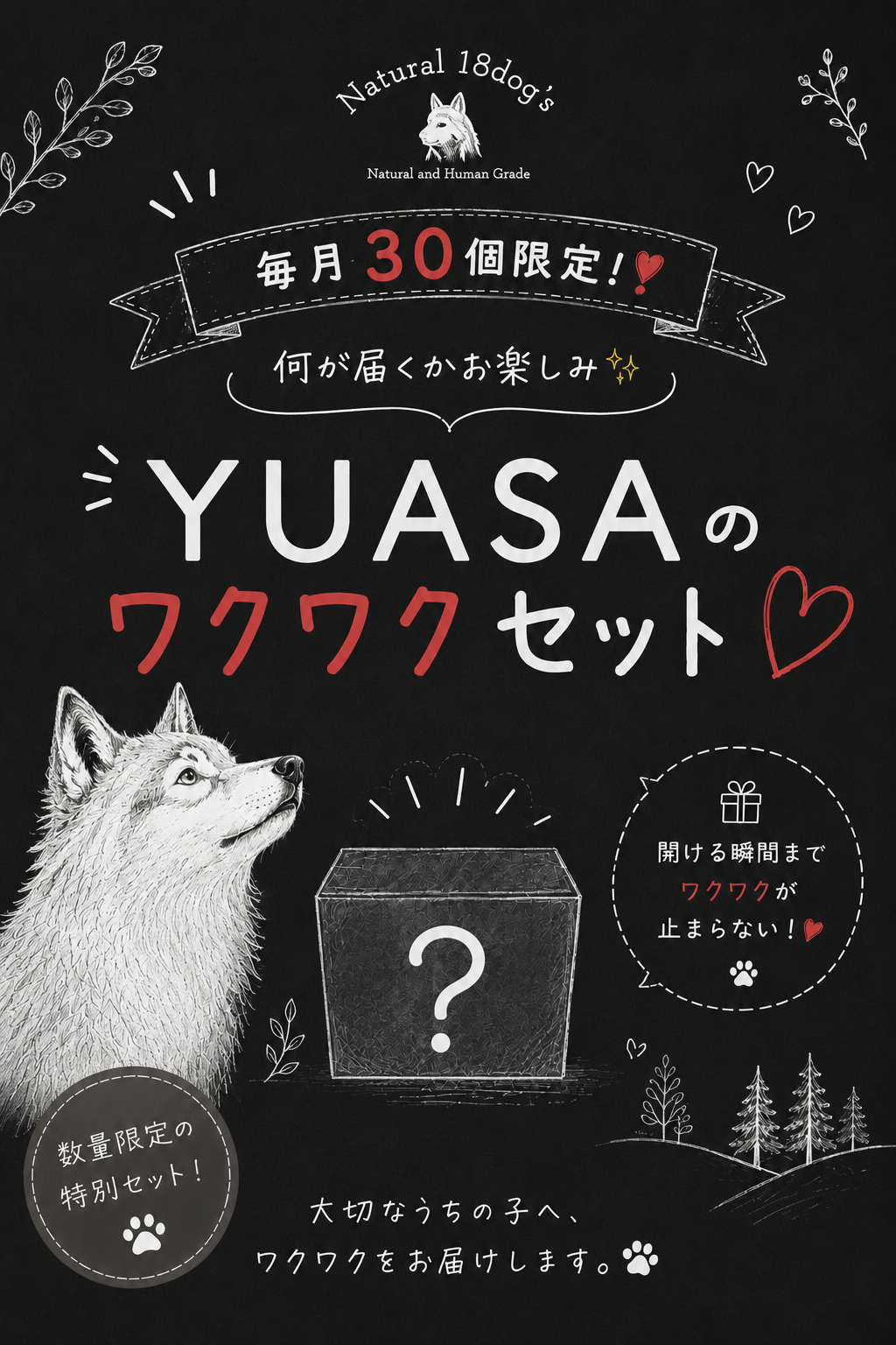 YUASAのワクワクセット