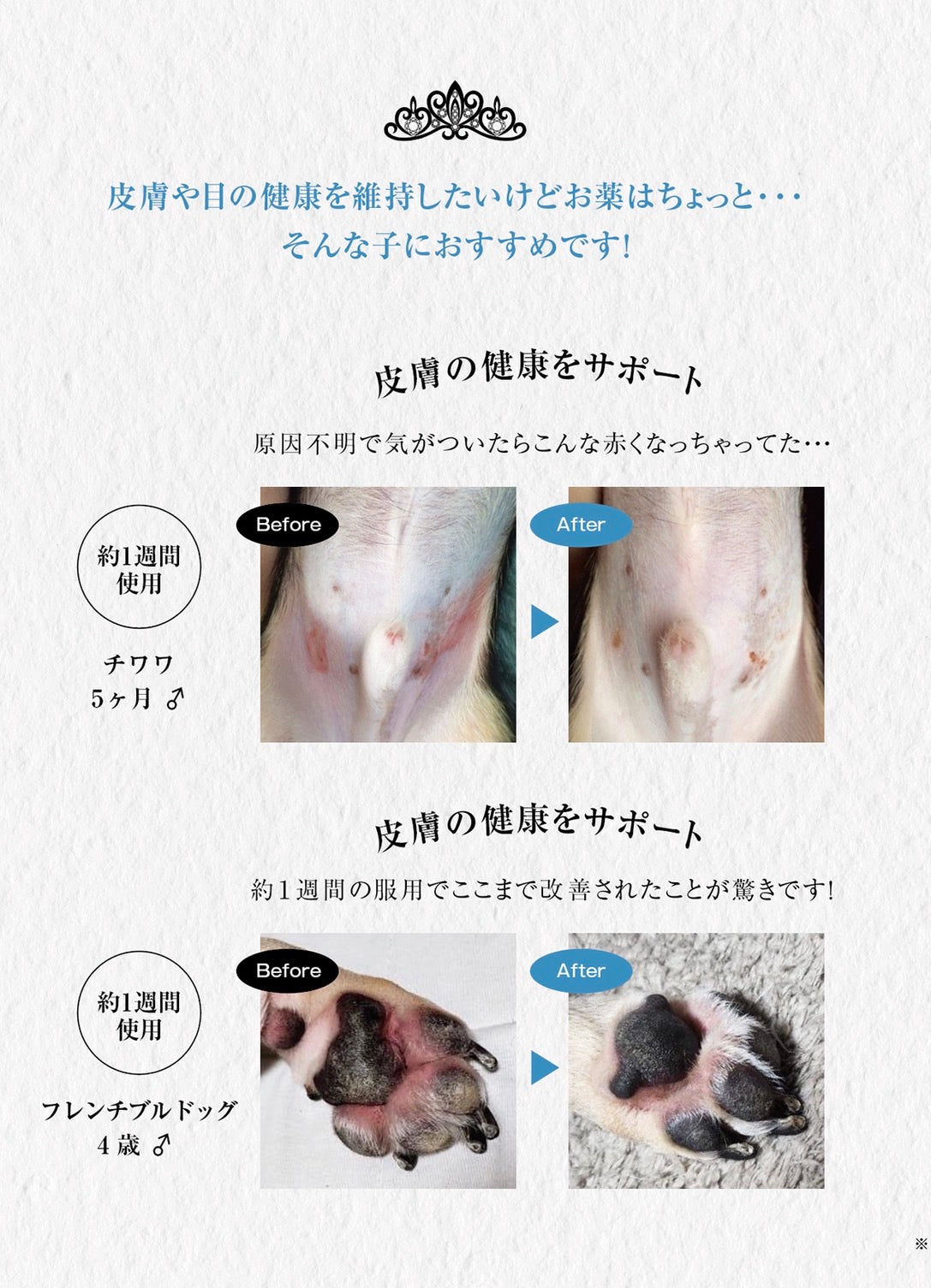 遂に販売スタート！スキンライクアプリンセス　15g入り　皮膚トラブルや充血や涙やけのトラブルに！