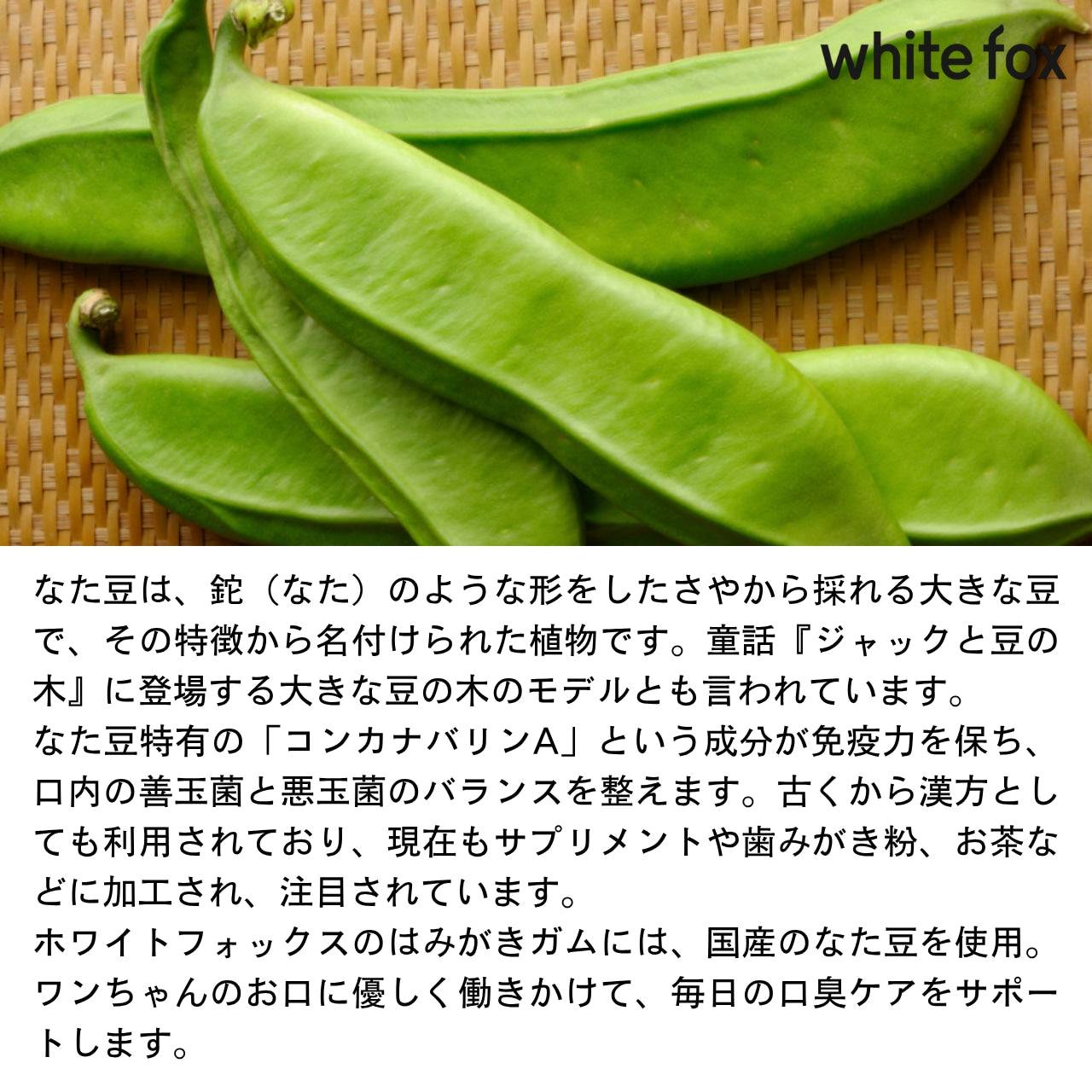 なた豆はみがきガム（10本入り）