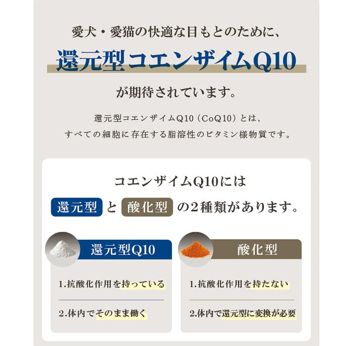 メモトキレイ90粒　世界で唯一の還元型CoQ10で吸収率が段違い！
