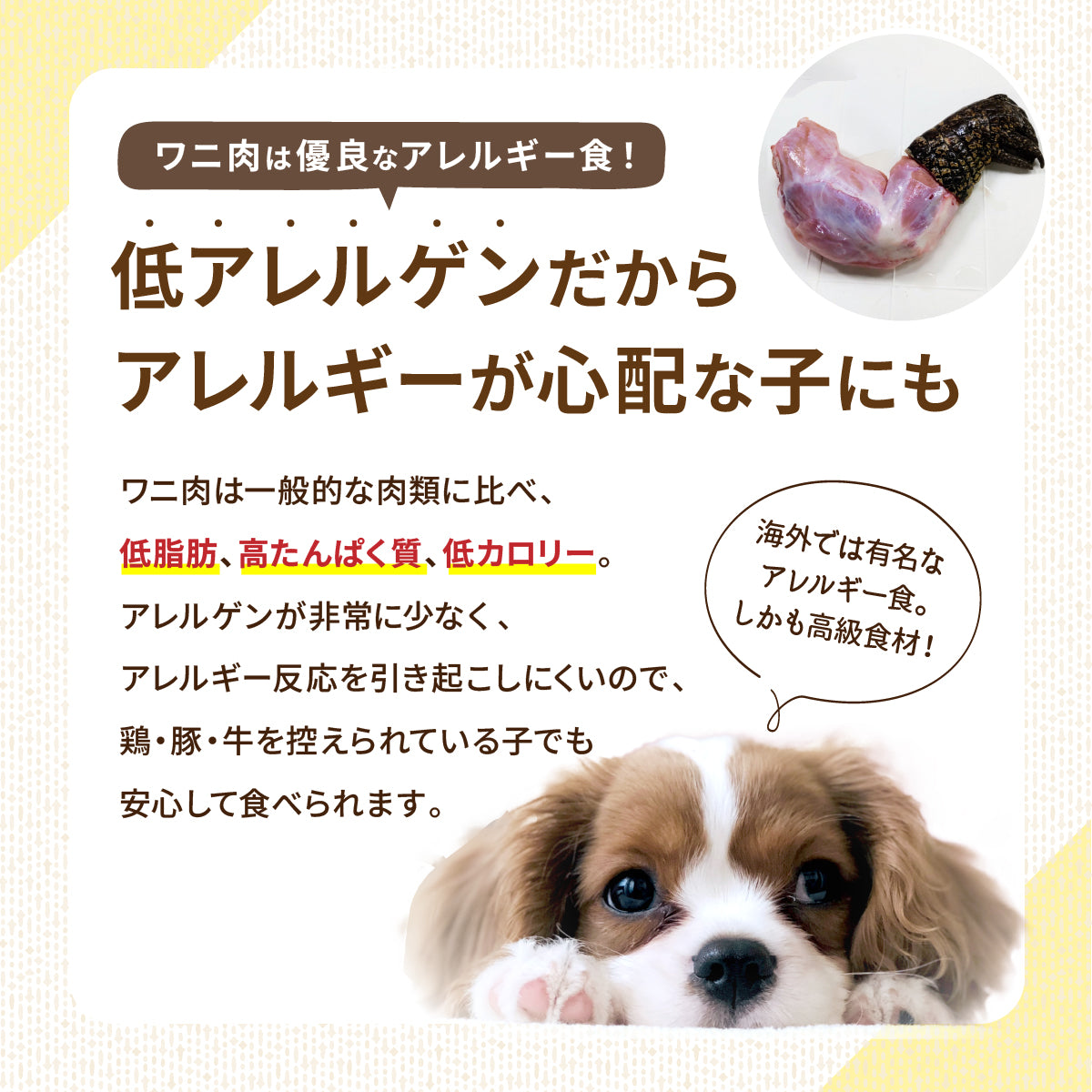 !エーワン　ドライなワニ子さん　超低脂質で鶏と白身魚の中間の味わい