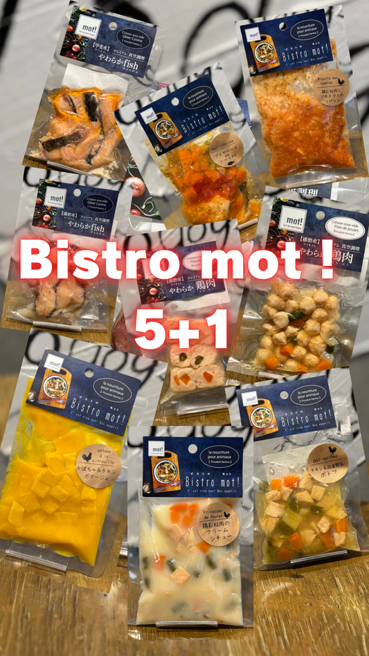 Bistro mot! 5+1