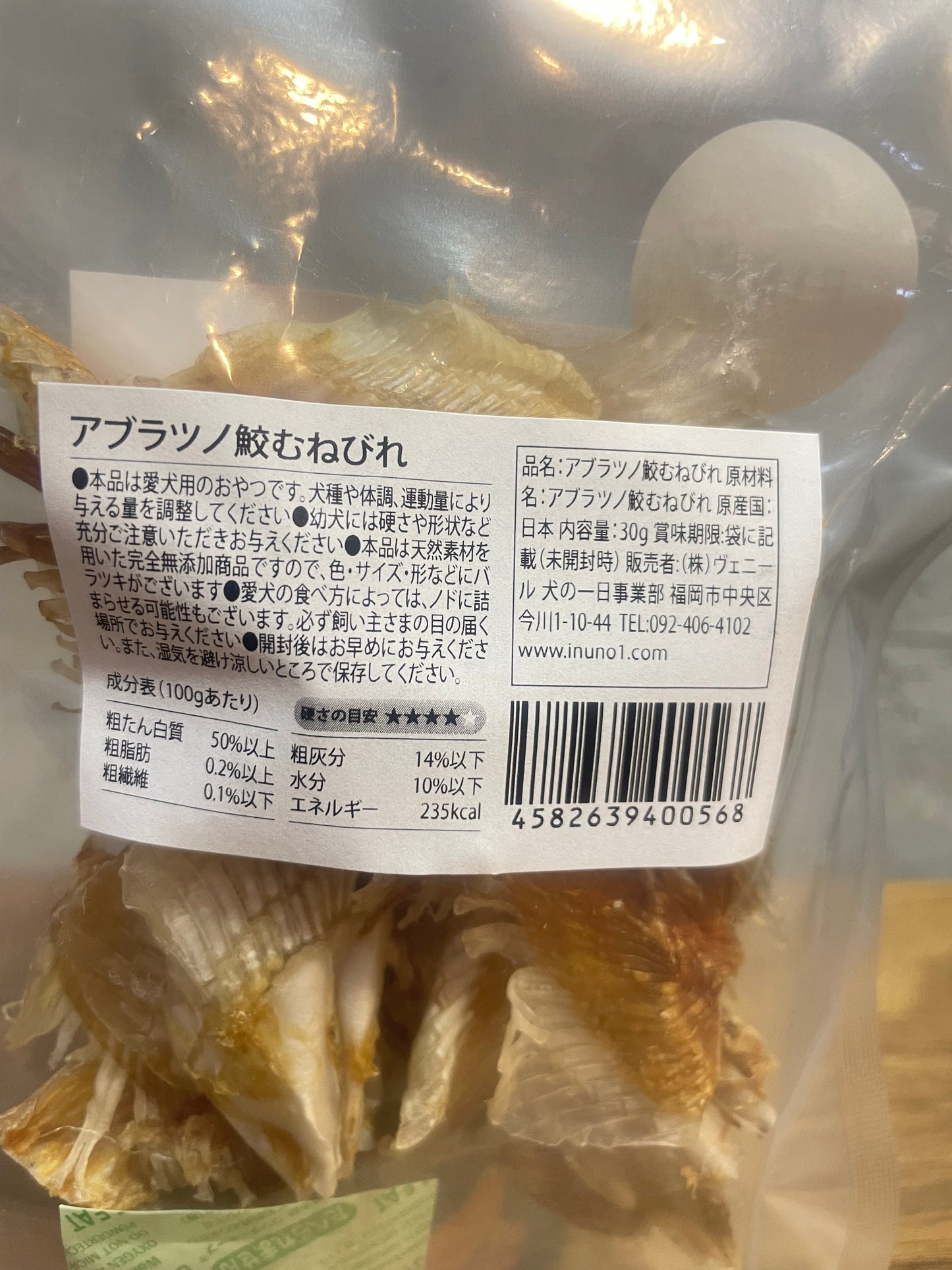 "アブラツノ鮫むねびれ　犬の一日