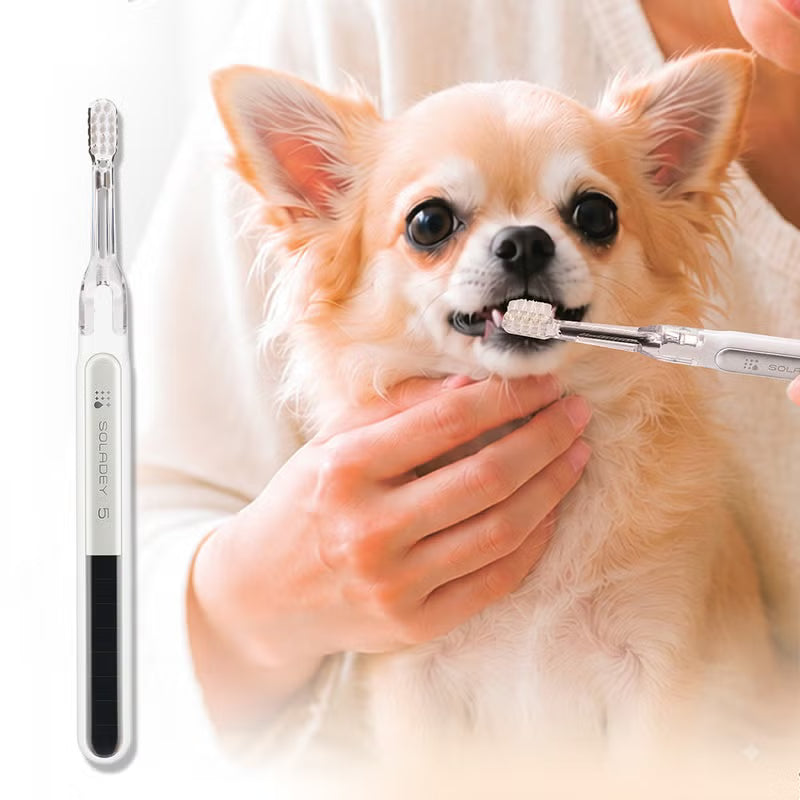 遂に犬用販売開始！　ソラデー５　小型犬用歯ブラシ　水と光で汚れを落とせちゃう！