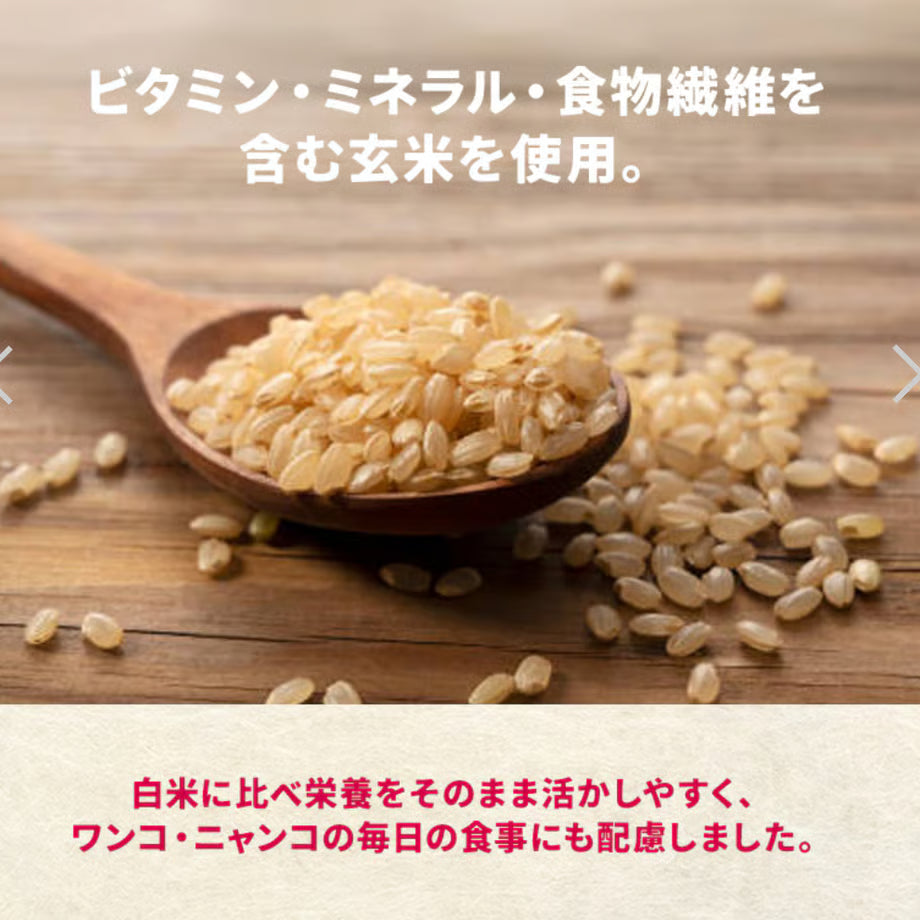 そのまんま 玄米雑炊 [ブリ血合いほぐし身入り]
