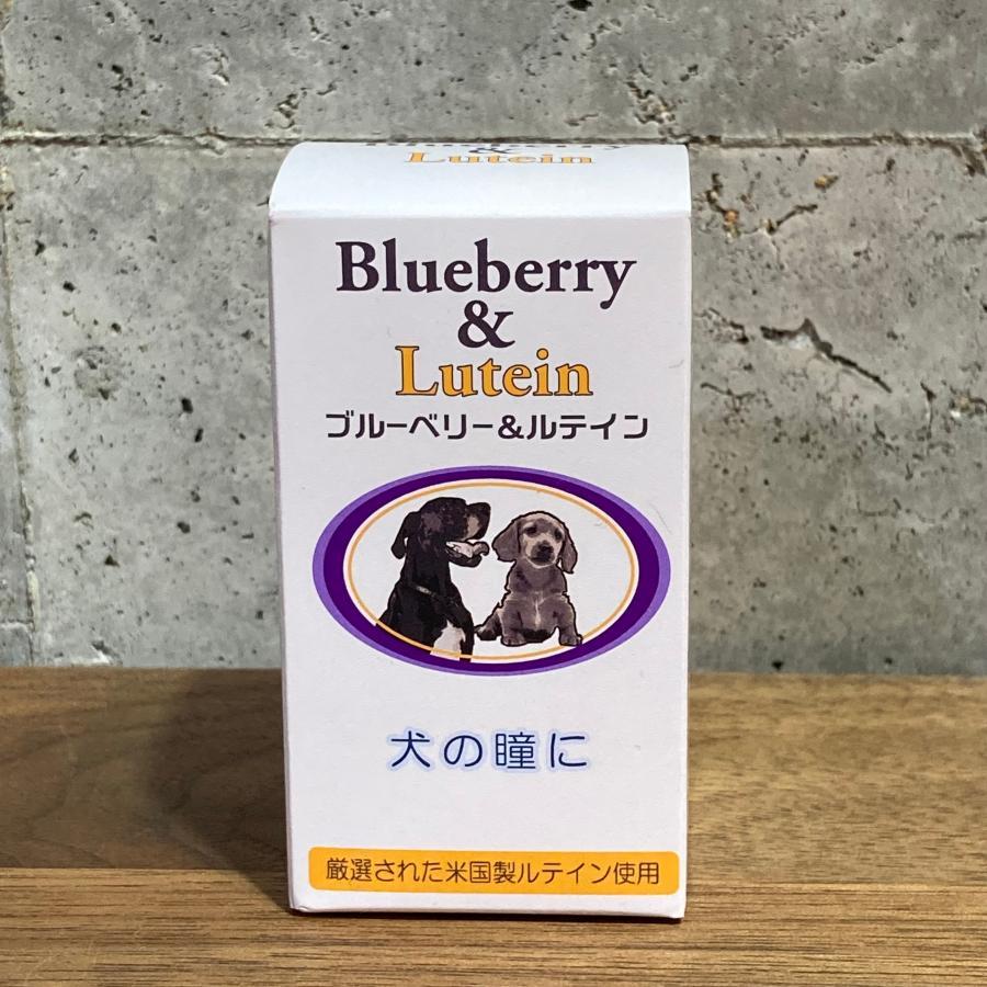 目の健康維持とサポートに！高濃度ポリフェノールとルテイン配合！ブルーベリー＆ルテイン　60粒！